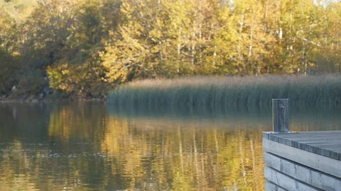 Empty wooden deck table with autumn lake coast in background. Stock Footage 104079532