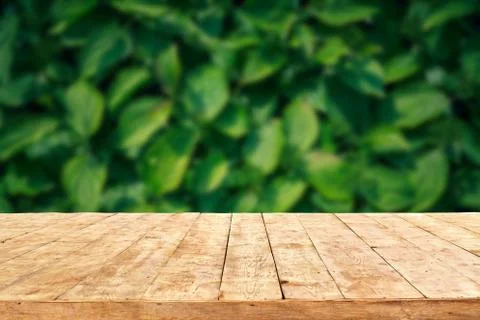Empty wooden deck table with foliage bokeh background. Ready for product disp Stock Photos