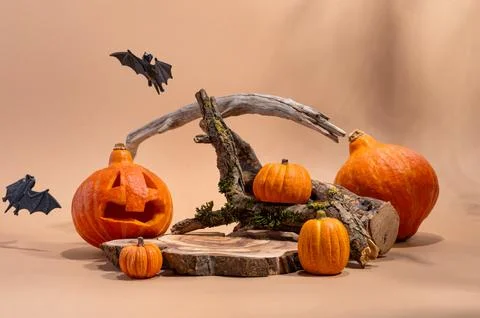 Empty wooden log on table with pumpkin and bats. Halloween or Thanksgiving mo Stock Photos