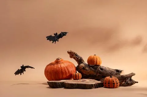 Empty wooden log on table with pumpkin and bats. Halloween or Thanksgiving mo Foto stock