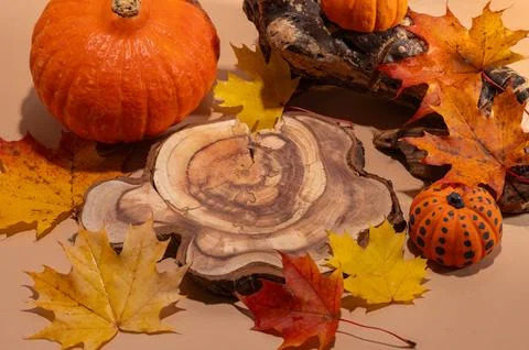 Empty wooden log on table with pumpkin and autumn leaves. Halloween or Than.. Stock Photos