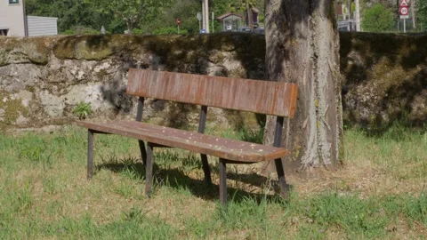 Empty Wooden Park Bench in Sunlight Beside Tree and Mossy Stone Wall Stock Footage 334273473