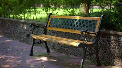 Empty Wooden Park Bench Surrounded by Fallen Autumn Leaves on a Quiet Pathway Stock Footage 342013855