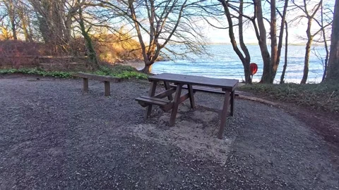 Empty wooden picnic table overlooking sunny woodland beach cove Stock Footage 325724153