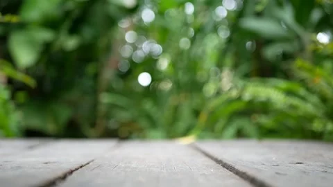 Empty wooden plank with green tree leaves sway from wind at background Stock Footage 310998778
