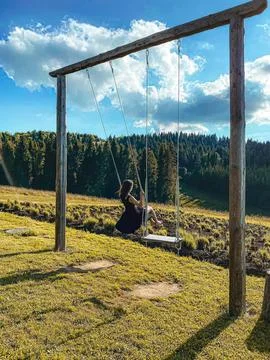 Empty wooden swing set in a park with green grass and trees Stock Photos