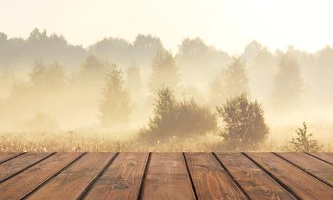 Empty wooden table against the background of dawn in the forest. Stock Photos