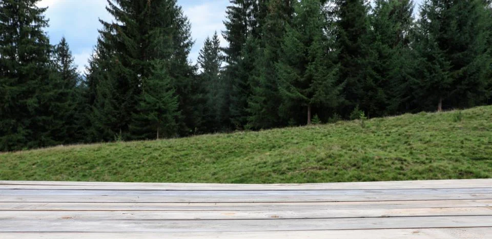 Empty wooden table and beautiful conifer forest on background Stock Photos