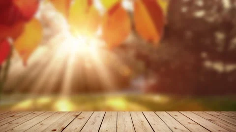 The empty wooden table with background of autumn park. Stock Footage 336731663