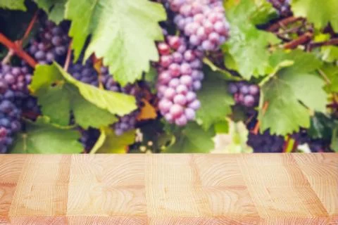 Empty wooden table on the background of blurred vineyard Stock Photos