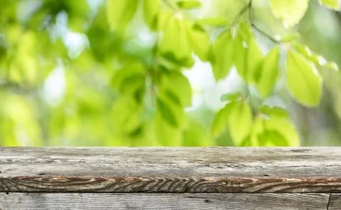 Empty wooden table background for display montages Stock Photos