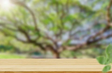 Empty wooden table background of free space for your with bright green tree.. Stock Photos