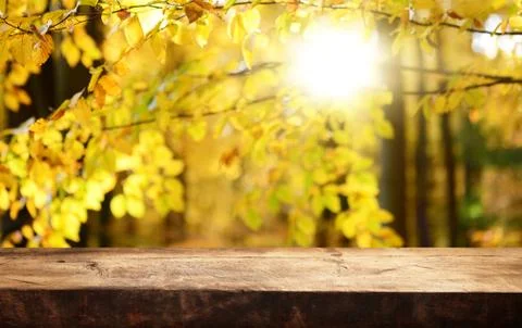 Empty wooden table background Stock Photos