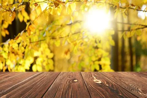 Empty wooden table background Stock Photos