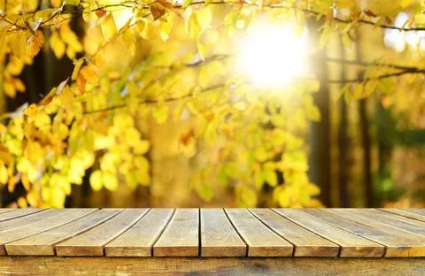 Empty wooden table background Stock Photos