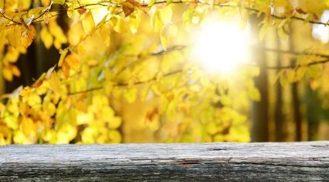 Empty wooden table background Stock Photos