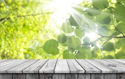 Empty wooden table background Stock Photos