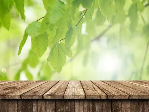 Empty wooden table background Stock Photos