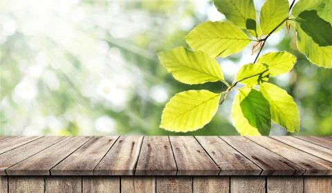 Empty wooden table background Stock Photos