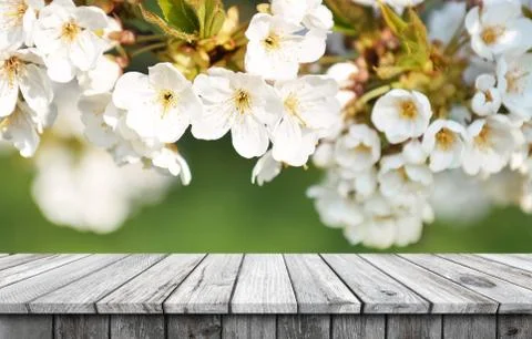 Empty wooden table background Stock Photos