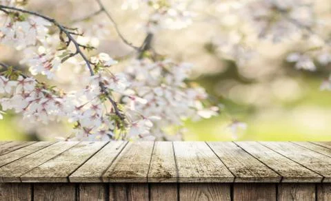Empty wooden table background Stock Photos
