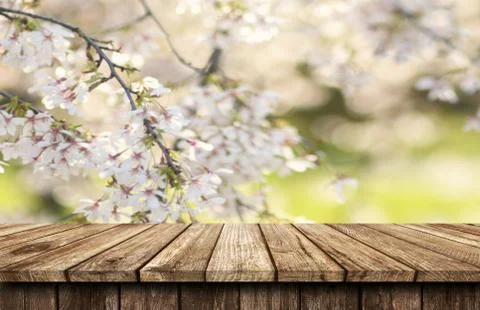 Empty wooden table background Stock Photos