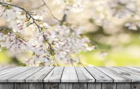 Empty wooden table background Stock Photos
