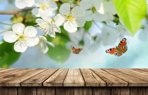 Empty wooden table background Foto stock