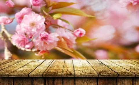 Empty wooden table background Stock Photos