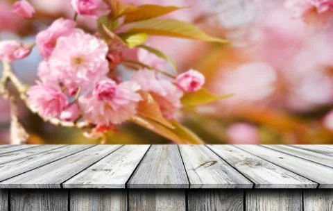 Empty wooden table background Stock Photos