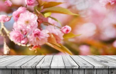 Empty wooden table background Stock Photos