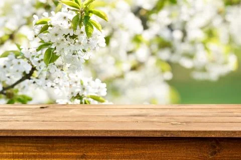 Empty wooden table background Stock Photos