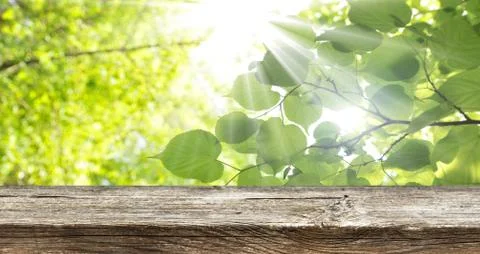Empty wooden table background Stock Photos