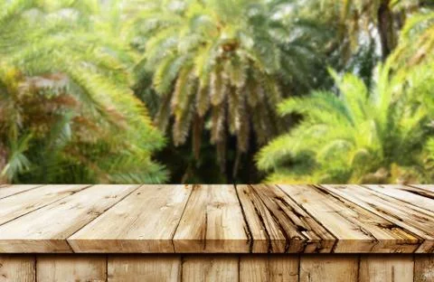 Empty wooden table background Stock Photos