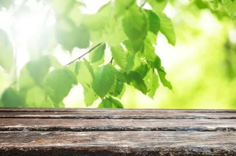 Empty wooden table background Stock Photos