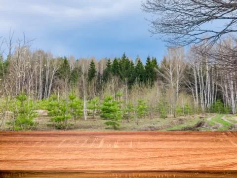 Empty wooden table with blurred background of early spring lanscape. Can be u Stock Photos