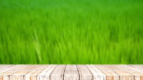Empty Wooden Table with Blurred Green Grass Background Product Display Animation Stockbeeldmateriaal 332814416