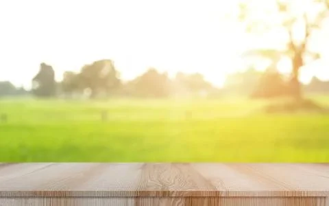 Empty wooden table with blurred green park background Stock Photos