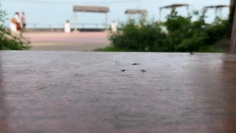 Empty wooden table the blurred ocean beach background, product display Stock Footage 340406879