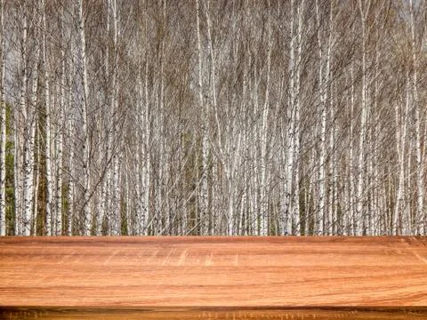 Empty wooden table with blurred spring background of birch trees. Can be used Stock Photos