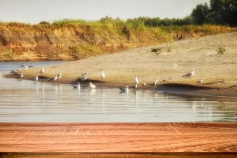 Empty wooden table with blurred summer background of riverside in the daytime Stock Photos