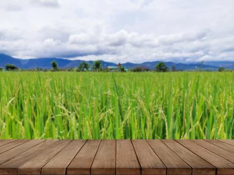 Empty wooden table with fields and cloudy sky. Stock Photos