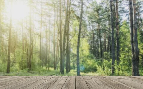 Empty wooden table with forest background. 写真素材