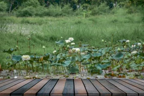 Empty wooden table in front of a puddle of water. Blurred background with lot Stock Photos