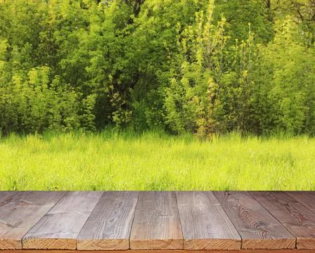 Empty wooden table on a green spring background. Foto stock
