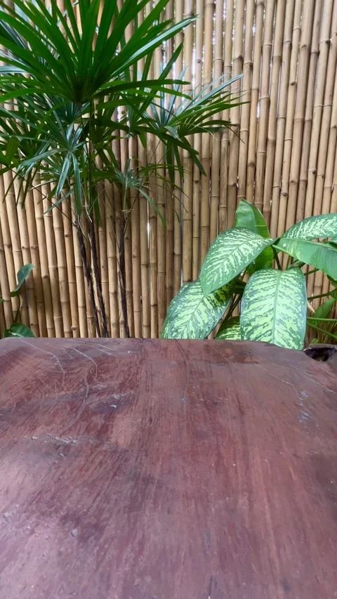 Empty wooden table with nature background, Product display concept Stock Footage 341176633