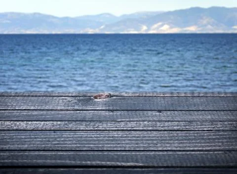 Empty wooden table 스톡 사진