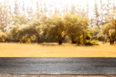 Empty wooden table for present product. Autumn season. Stock Photos