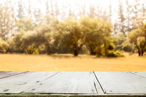Empty wooden table for present product. Autumn season. Stock Photos