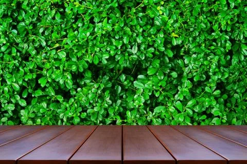 Empty wooden table space platform and nature background for product display m 스톡 사진